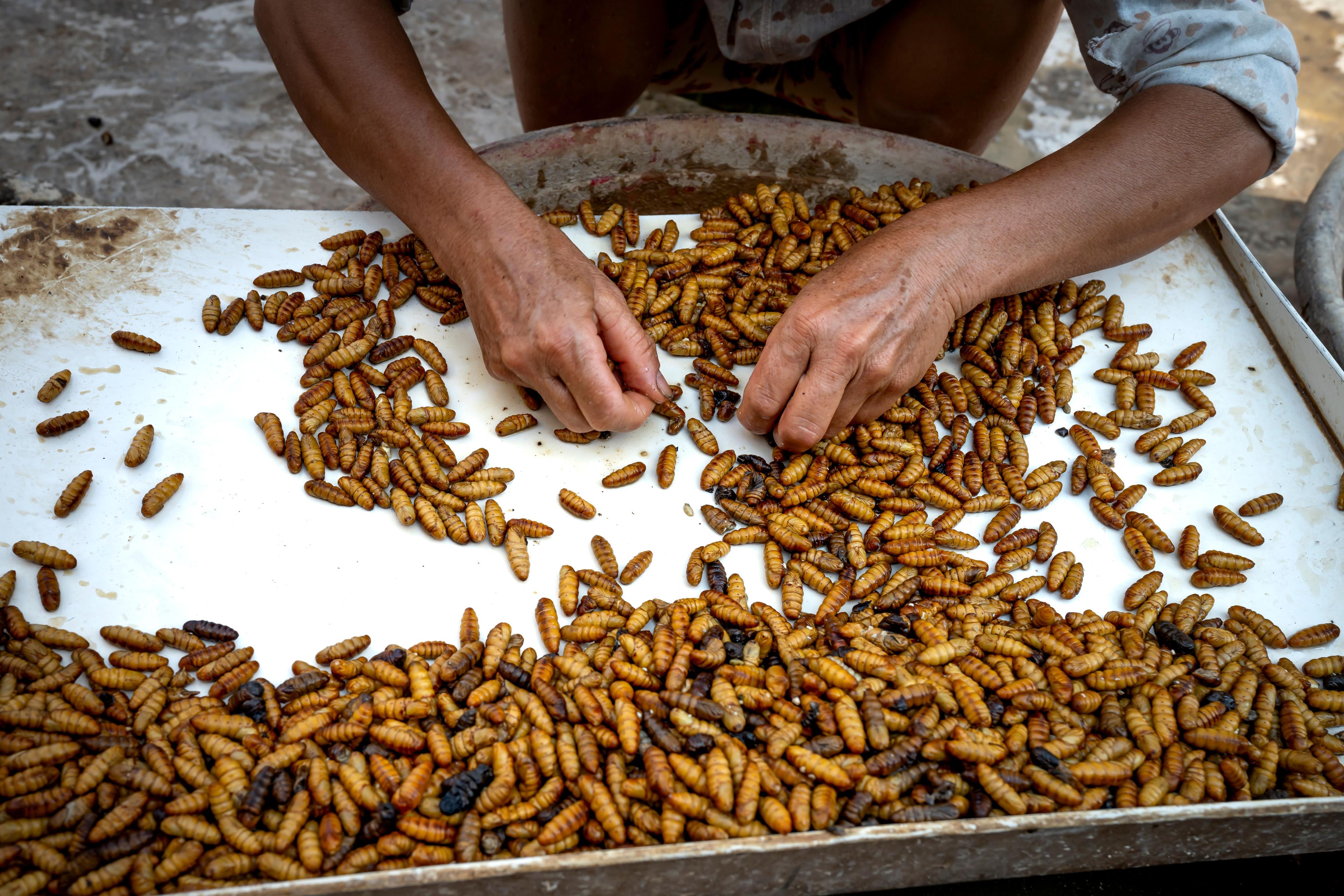 Close-up farming and harvesting